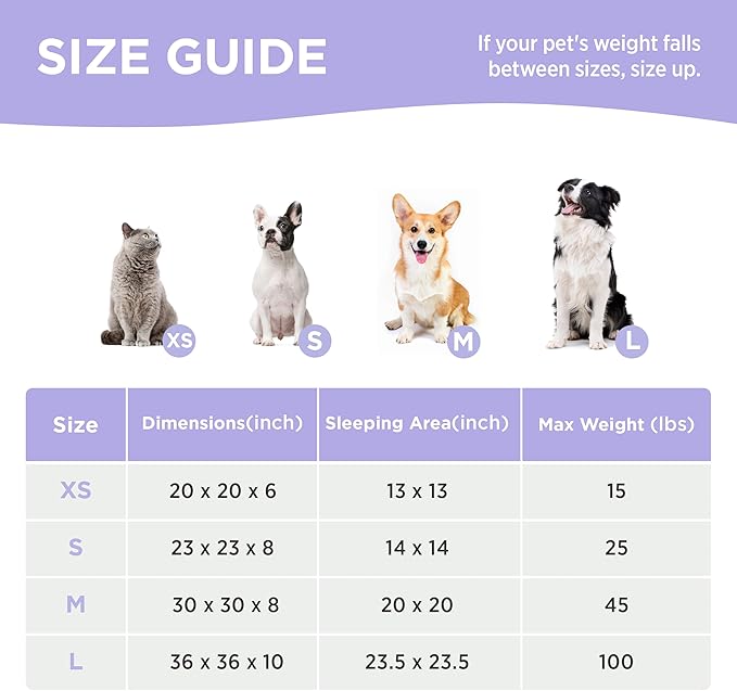 LE SURE Donut Large Dog Bed - Round Cat Beds for Indoor Anti-Anxiety Calming Pet Beds, Washable Cute Modern Beds with Jacquard Shaggy Plush & Anti Slip Bottom, 36 Inch, Purple