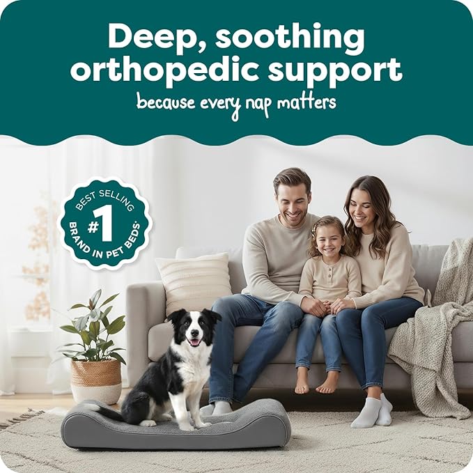 FurHaven Orthopedic Dog Bed for Large Dogs, Luxe Lounger Contour Mattress with Medical-Grade Solid Orthopedic Foam for Joint Support, Removable Washable Cover, Large, Plush Suede, Gray