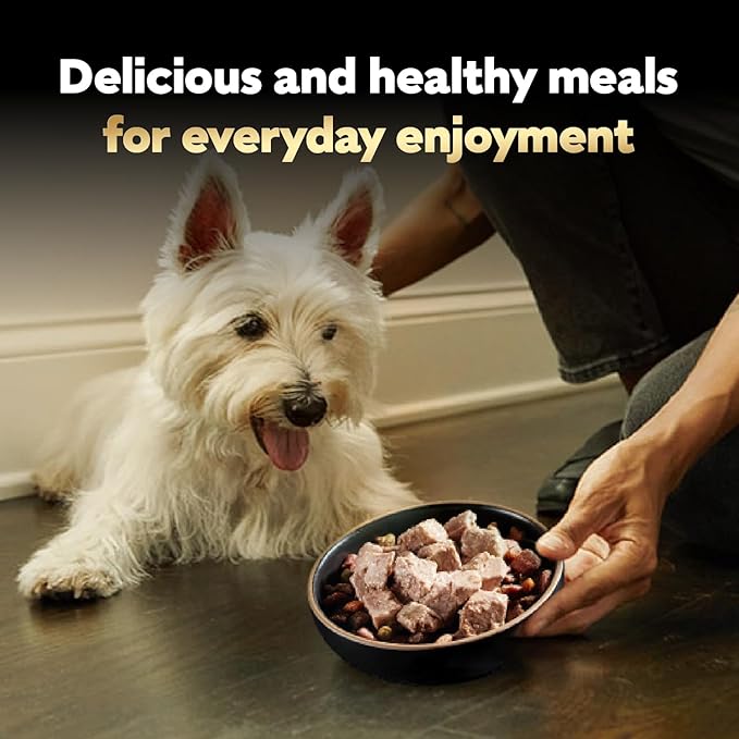 Cesar Wet Dog Food Classic Loaf in Sauce, Beef Recipe, Filet Mignon Flavor, Grilled Chicken Flavor, and Porterhouse Steak Flavor, 3.5 oz. Easy Peel Trays, Variety Pack of 24