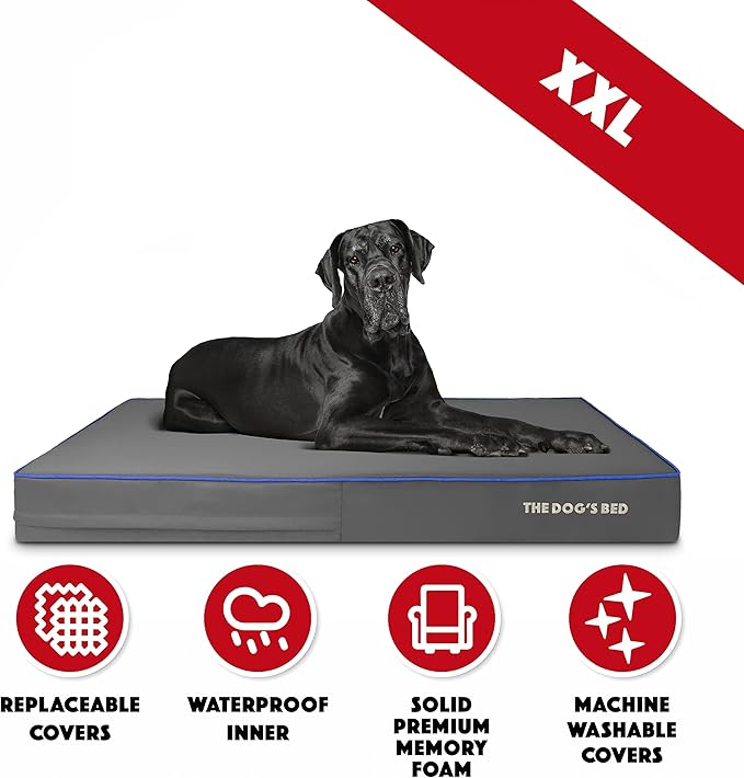 The Dog’s Bed Orthopedic Memory Foam Dog Bed, XXL Grey & Blue 54x36, Pain Relief for Arthritis, Hip & Elbow Dysplasia, Post Surgery, Lameness, Supportive, Calming, Waterproof Washable Cover
