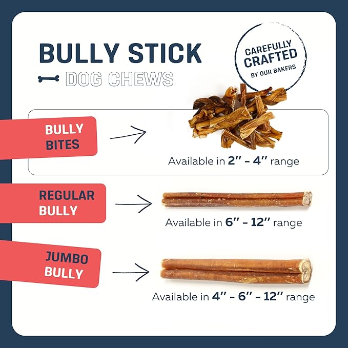 Big Lu - 2-4” Bully and Braided Sticks Variety Bag - 1 lb of 100% Grass-Fed Beef Chews for Small and Medium Dogs, Natural, Fully Digestible, Long-Lasting Treats