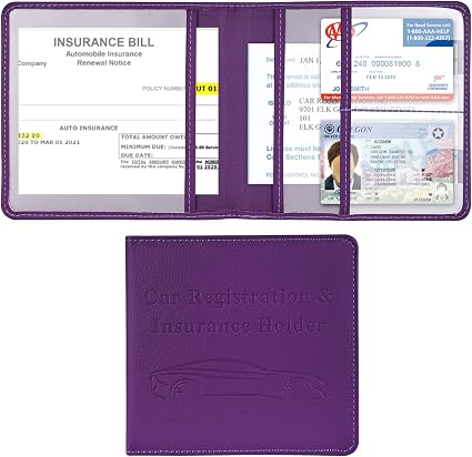 Cacturism Car Registration and Insurance Holder, Glove Box Organizer Purple