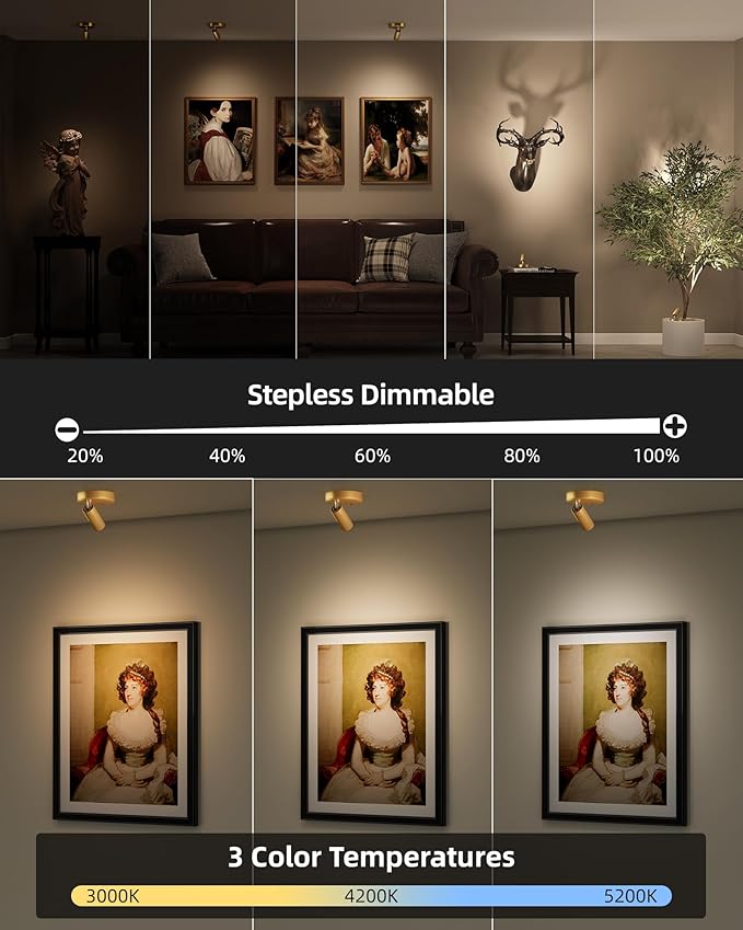 EZVALO LED Spotlight Indoor, 5500mAh Rechargeable Battery Picture Lights, Wireless Mini Art Accent Spot Lights with Remote, Uplighting Indoor for Plants Display Painting Artwork Portrait (1Pack-Gold)