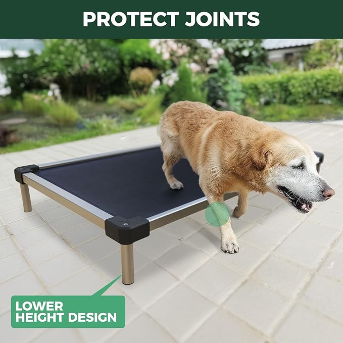 FXW TitanNest Chew-Proof Elevated Dog Bed, Raised Cot for Indoor/Outdoor/Camping Use, Durable & Waterproof Cooling Pet Bed for Medium Dogs, 41.0" L x 27.0" W x 5.0" H, Black