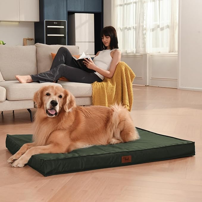 Outdoor Extra Large Dog Bed, Jumbo Waterproof Dog Bed for Large Dogs, Orthopedic Egg Crate Foam Pet Mat with Removable Oxford Cooling Cover, Dark Green