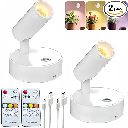 LED Magnetic Wall Lamp, USB-C Rechargeable, Remote Control Light, White