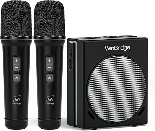 WinBridge 30W Voice Amplifier with 2 Wireless Mics, Portable PA Speaker S90
