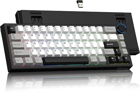 Womier Wireless 60% Gaming Keyboard with CNC Knob Mechanical Keyboard