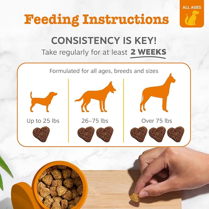 Zesty Paws Dog Allergy Relief Chews, Dog Probiotics for Itchy Skin and Ears, Lamb, Mini, 90ct
