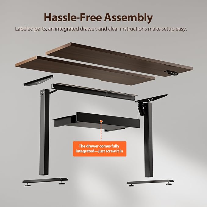 Agilestic Electric Standing Desk with Integrated Drawer, Height Adjustable Desk, Ergonomic Rising 48"x24" Wooden Desk, Sit-Stand Workstation with Memory Presets for Work Home Office, Walnut