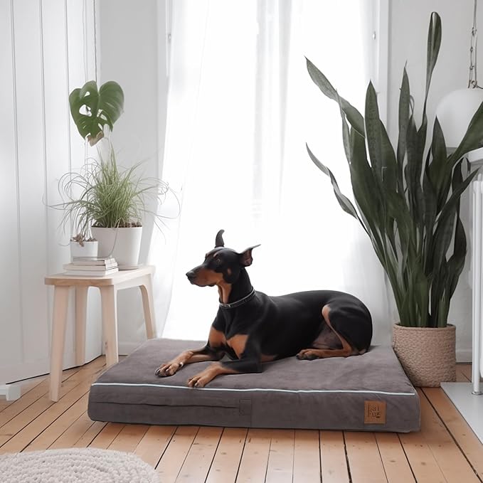 Laifug Orthopedic Memory Foam Pet(40"x 25"x 4",Slate Grey)/Dog Bed with Durable Waterproof Liner and Removable Washable Cover