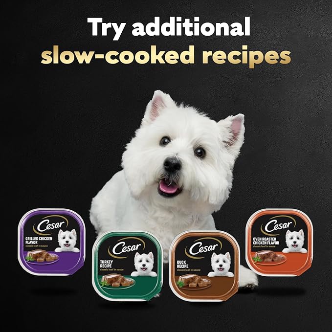 Cesar Classic Loaf in Sauce Adult Wet Dog Food Poultry Lovers Variety Pack with Real Chicken, Turkey or Duck, 3.5 oz. Easy Peel Trays, Pack of 36