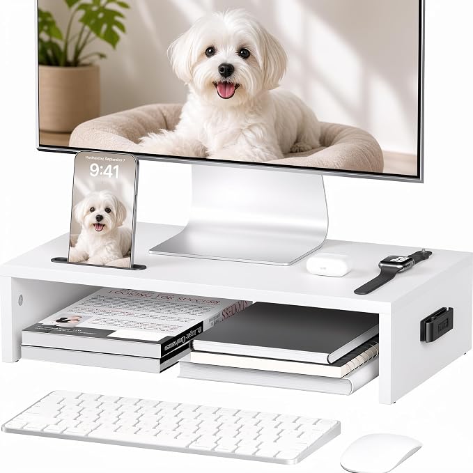 BONTEC Monitor Stand Riser with Cellphone Holder & Cable Management