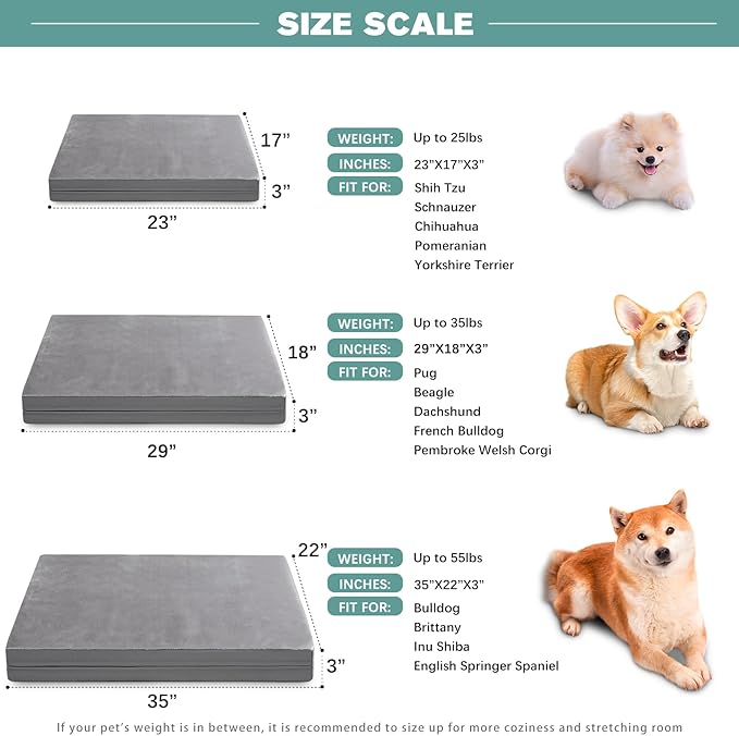 Waterproof Small Dog Bed Crate Pad 24 inch, Washable Puppy Bed Orthopedic with Removable Cover Reversible, Foam Dogs Bed, Cat Bed Kennel Pad 23" x17, Durable Anti-Slip Bottom, Gray