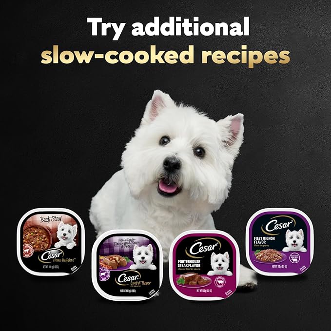 Cesar Adult Wet Dog Food Steak Lovers Variety Pack with Real Meat, 3.5 oz. Easy Peel Trays, 24 Count