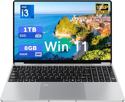 15.6'' Laptop for Windows 11, Core i3-6006U, 8GB RAM 1TB SSD