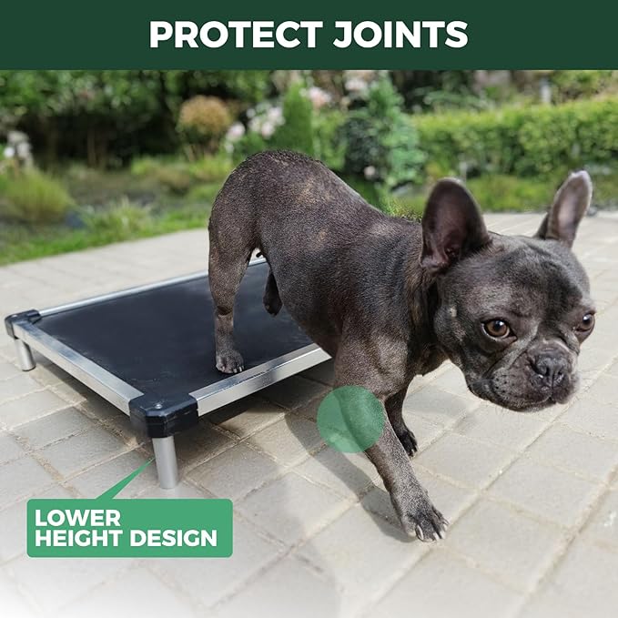 FXW TitanNest Chew-Proof Elevated Dog Bed, Raised Cot for Indoor/Outdoor/Camping Use, Durable & Waterproof Cooling Pet Bed for Extra-Small Dogs, 30.0" L x 22.0" W x 4.5" H, Black