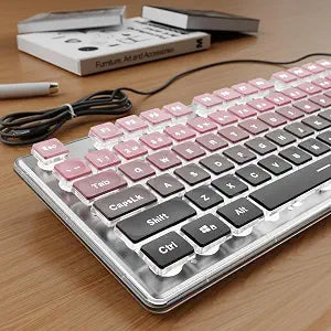 Wired Keyboard with White Backlit, Never Fade, Soft Click, Black Ombré