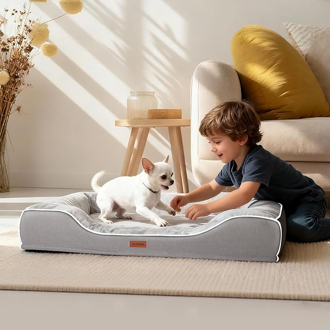 Orthopedic Small Dog Bed Washable for Small Size Dogs,Cooling Gel Memory Foam Sofa Bed with Removable Waterproof Cover & Sides,for Old Pets or Cat with Joint Pain,24"x18"x6"Grey