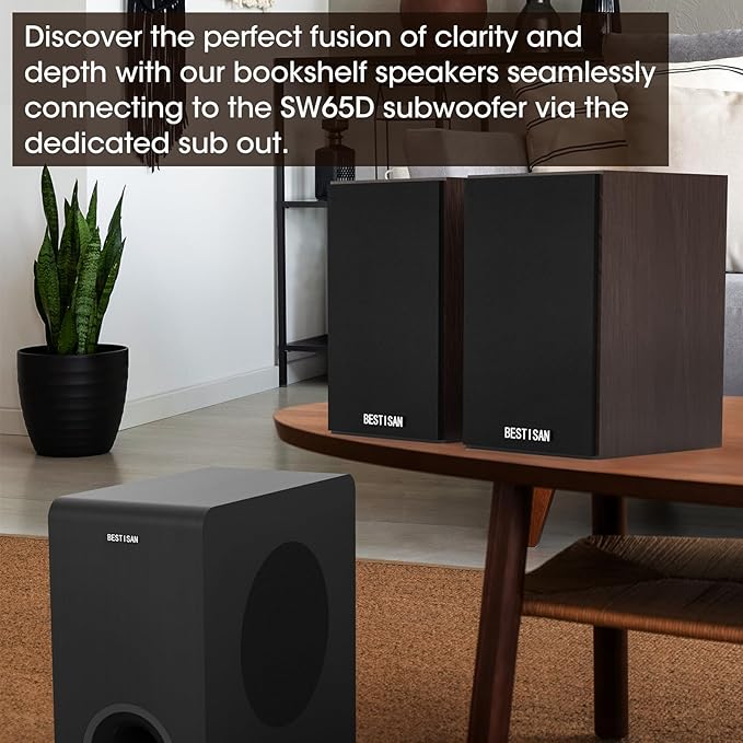 BESTISAN Bluetooth Bookshelf Speakers with RCA Input, Record Player Speakers with Sub Out Port for SW65C/ SW65D,4 Inch Woofer, SR04F-01