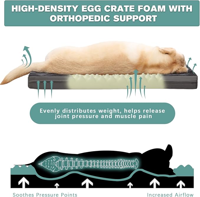 Waterproof XL Dog Beds Large Sized Dog, Orthopedic Washable Crate Pad 42 inch, Extra Large Foam Pet Bed with Removable Cover Reversible, XLarge Anti-Slip Kennel Pad, 41"x27", Dark Gray