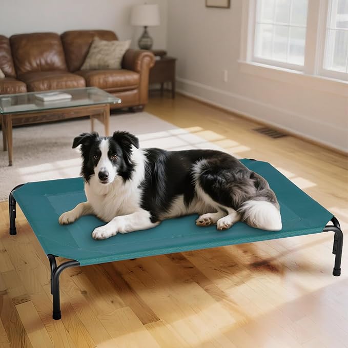 Elevated Dog Bed for Outdoor, Large Raised Dogs Cot for Training, Cooling Pet Beds with Washable Mesh, Indestructible Lifted Platform for Outside Camping, 41 inch Green
