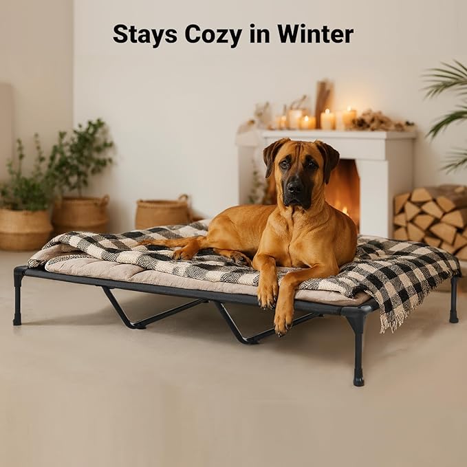 Veehoo Outdoor Elevated Dog Bed Large Sized Dogs, XXL Cooling Raised Dog Cots Beds Training Platform Off Ground Hammock with Breathable Mesh, No-Slip Feet, 59"x37.5", Black Silver