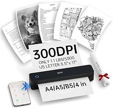 iDPRT Portable Thermal Printer, 300DPI Inkless-Bluetooth Mobile Printers