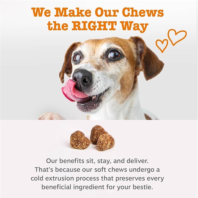 Zesty Paws Probiotics for Dogs - Digestive Enzymes for Gut Flora, Digestive Health, Diarrhea & Bowel Support - Clinically Studied DE111 - Dog Supplement Soft Chew for Pet Immune System - Pumpkin
