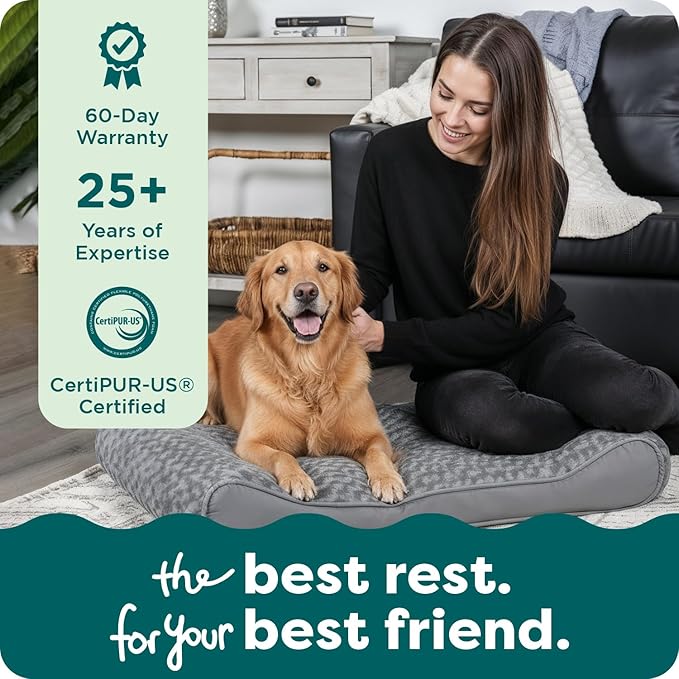 FurHaven Orthopedic Dog Bed for X-Large Dogs, Luxe Lounger Contour Mattress with Medical-Grade Solid Orthopedic Foam for Joint Support, Removable Washable Cover, Jumbo/XL, Plush Suede, Gray