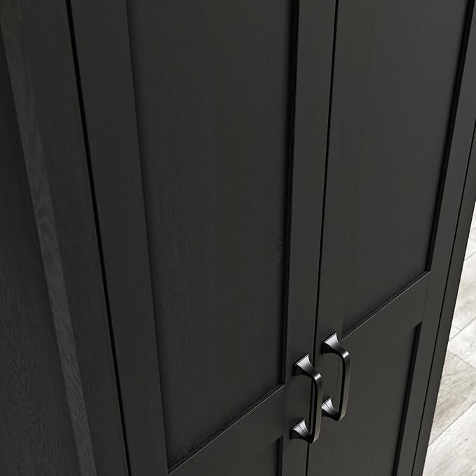 Sauder Select Two-Door Storage Cabinet, Versatile Home Storage Solution, Raven Oak Finish