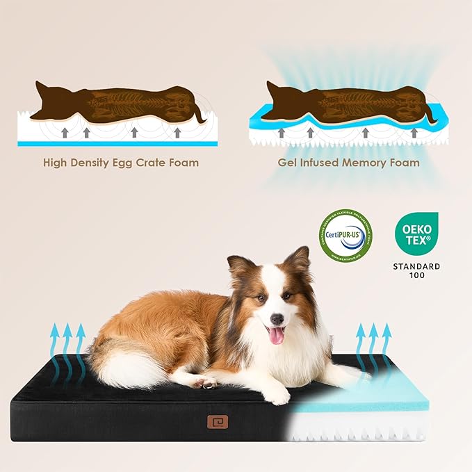 EHEYCIGA Memory Foam Dog Bed Orthopedic 30"x20"，Waterproof Pet Bed for Medium Dogs ，Washable Pet Mat with Removable Cover, Black