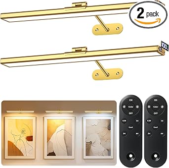 Picture Lights for Wall, 16inch Rechargeable Art Light with Remote, 2Pack