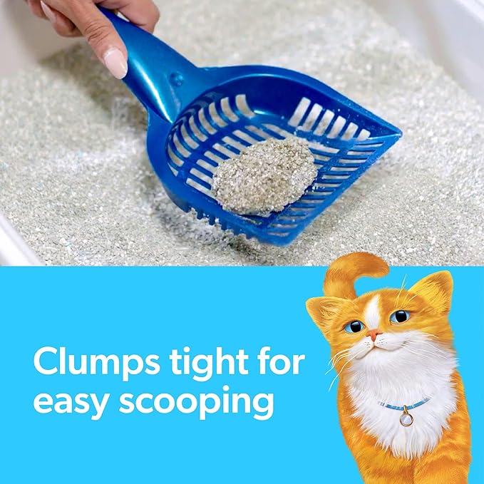 Fresh Step Advanced Simply Unscented Clumping Litter, Fresh Step Unscented Cat Litter Fights Odor on Contact, 37 lbs. (2 x 18.5 lb. Box)