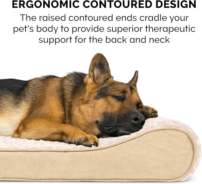 Furhaven Orthopedic Dog Bed for Extra Large Dogs w/ Removable Washable Cover, For Dogs Up to 180 lbs - Ultra Plush Faux Fur & Suede Luxe Lounger Contour Mattress - Cream, Giant/XXXL