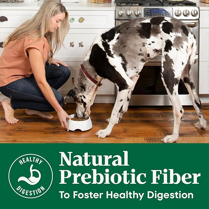 Nutro Natural Choice Senior Dog Food, Lamb & Brown Rice Recipe, 36 lb. Bag