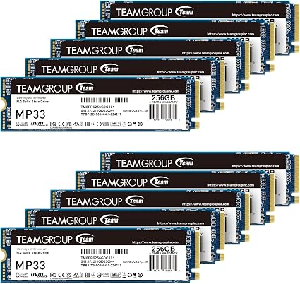 TEAMGROUP MP33 256GB 10 Pack SLC Cache 3D NAND TLC NVMe 1.3 PCIe Gen3x4 M.2 2280 Internal Solid State Drive SSD Read/Write Speed up to 1600/1000 MB/s Compatible with Laptop & Desktop TM8FP6256G0C1P2