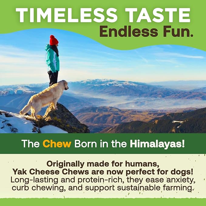 EcoKind Premium Gold Yak Cheese Himalayan Dog Chews, Dog Treats Large Breed, All Natural, High Protein, for Aggressive Chewers, Large - 3 Chews