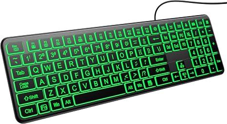 Hamile Large Print Light Up Keyboard, USB Silent Wired Keyboard