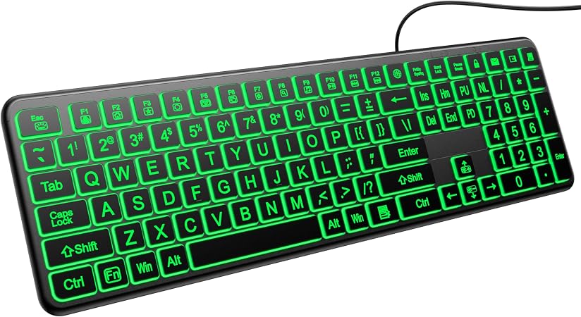 Hamile Large Print Light Up Keyboard, USB Silent Wired Keyboard