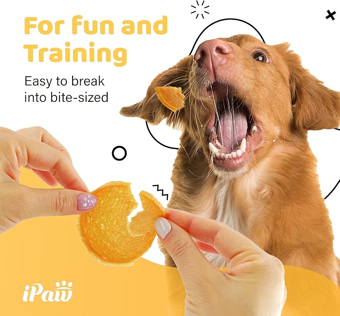 iPaw Dog Treats for Puppy Training, All Natural Human Grade Dog Treat, Hypoallergenic, Easy to Digest (Chicken Chips), 2 Packs