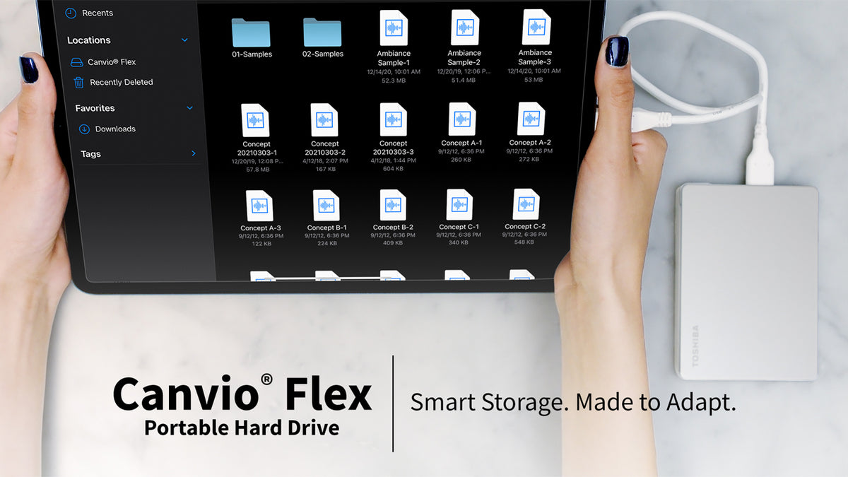 Toshiba Canvio Flex 2TB Portable External Hard Drive USB-C USB 3.0, Silver for PC, Mac, & Tablet - HDTX120XSCAA