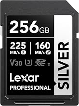 Lexar 256GB Silver SD Memory Card, 225MB/s Read, 4K, V30, U3, UHS-I - Image 1