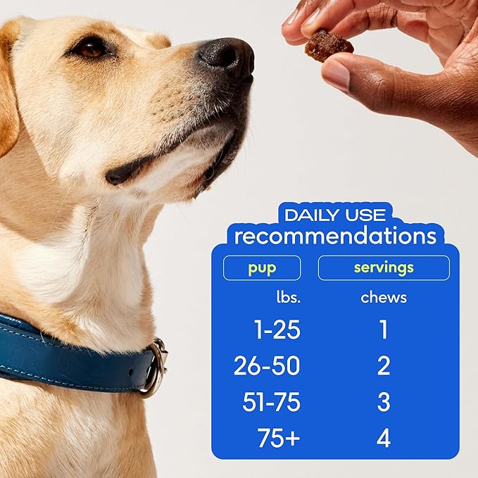 Native Pet Omega Skin and Coat Chews for Dogs (30 Air-Dried Chews) & Allergy Chews (30 Air-Dried Chews) - Promotes Healthy Skin & Shiny Coat - Soothing Itchy Skin & Digestive Support