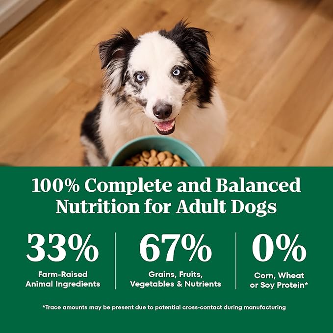 Nutro Natural Choice Chicken & Brown Rice Adult Large Breed Dog Food Dry Recipe, 36 lb. Bag