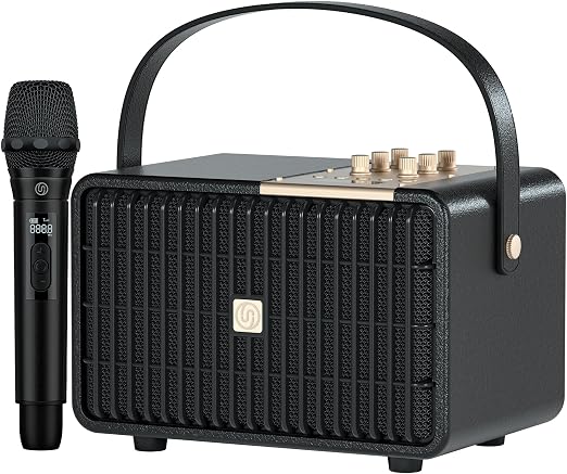 Portable Bluetooth Speaker 240W Peak Power Wireless Speaker Loud (Black)
