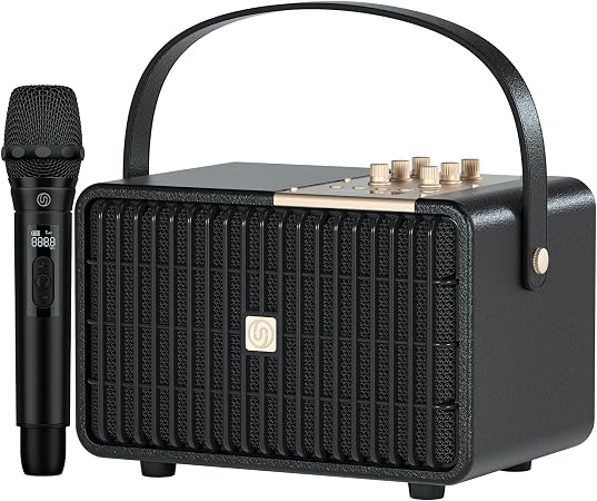 Portable Bluetooth Speaker 240W Peak Power Wireless Speaker Loud (Black)
