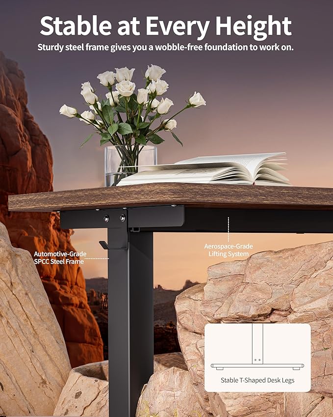 BIZUM Standing Desk Electric Adjustable Computer Desk-Stand up Desk Office Gaming Home Office Memory Desks 48x24 inches Wild Walnut