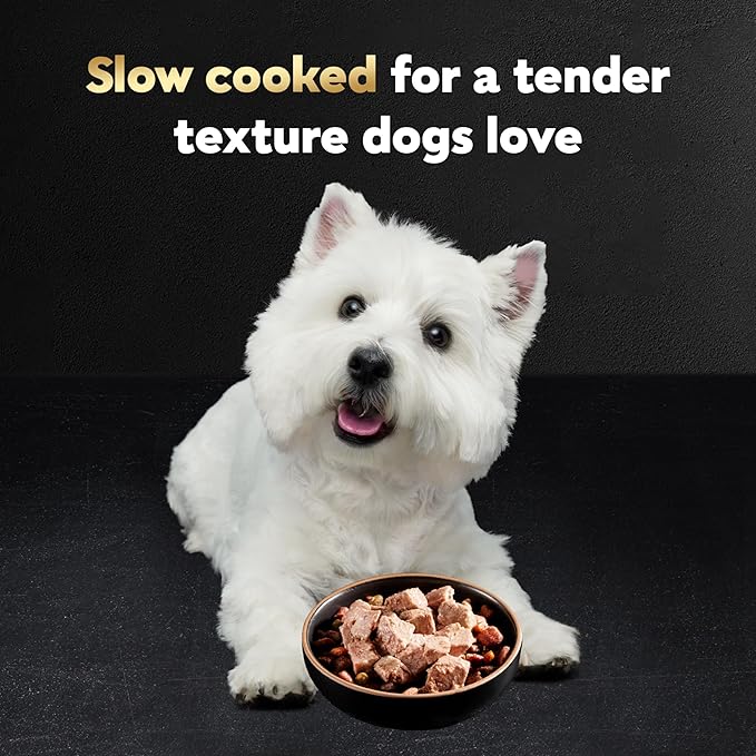 Cesar Wet Dog Food Classic Loaf in Sauce, Breakfast Lovers Variety Pack, Smoked Bacon & Egg Flavor, and Scrambled Egg & Sausage Flavor, 3.5 oz. Easy Peel Trays, 12 Count (Pack of 2)