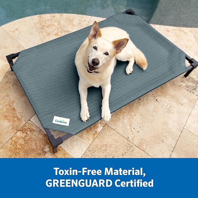 Coolaroo Pro Elevated Dog Bed with HeatShield Fabric – Advanced Cooling Raised Cot for Small & Medium Breeds, Easy-Clean, Low-to-Ground Access, Bonus Bolster Pillow – Pacific Crest Blue